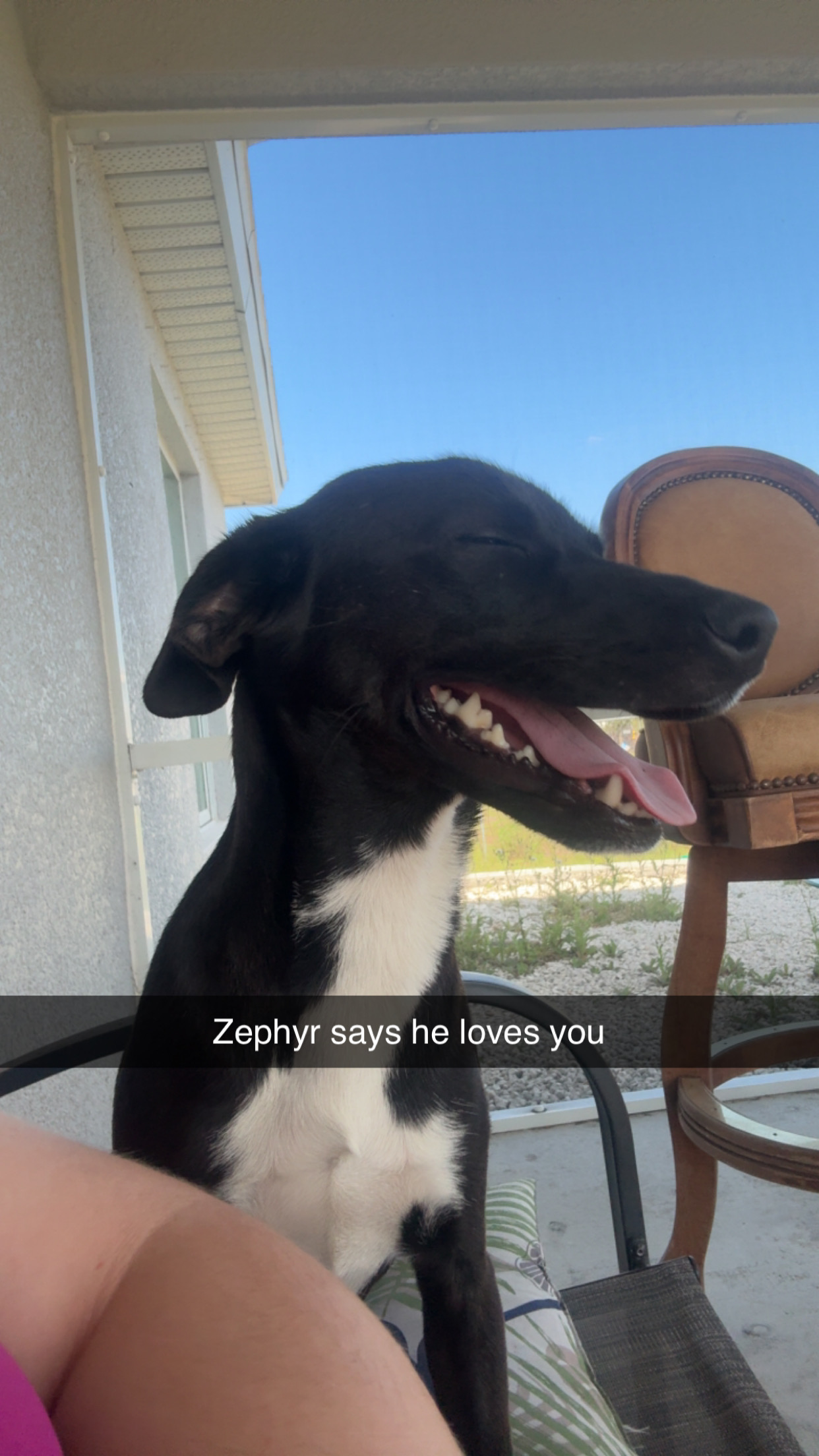 Zephyr